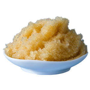 抛光树脂的装填方法