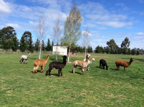养殖场污水处理方法有哪些？